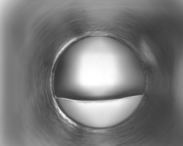 X0000086261484200703291049
