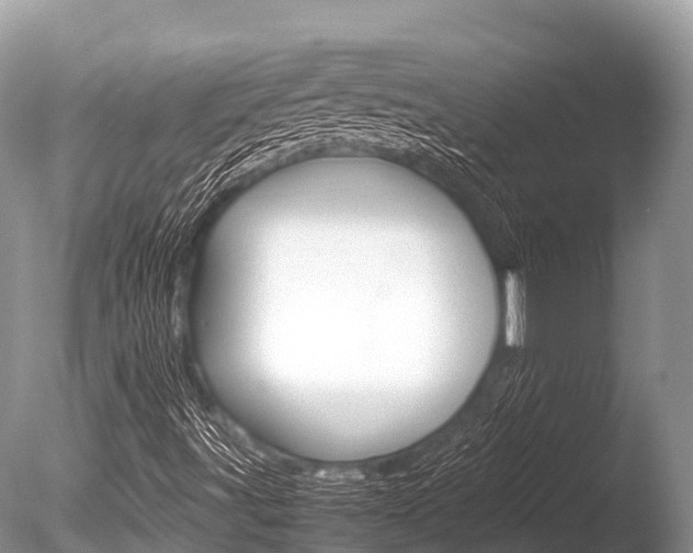 X0000086261491200703291048