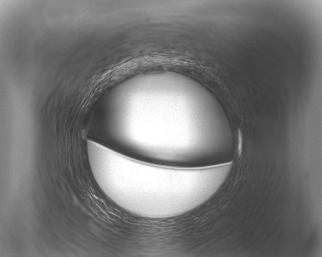 X0000086261492200703291048