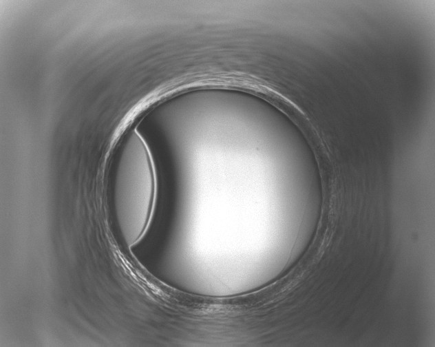X0000086261506200703291048