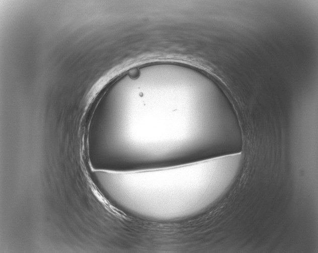 X0000086261511200703291048