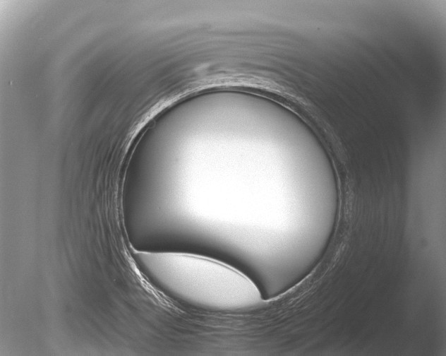 X0000086261513200703291048