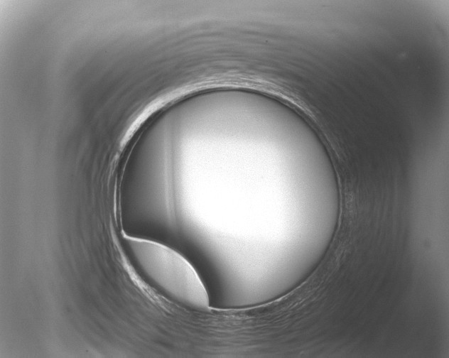 X0000086261515200703291048