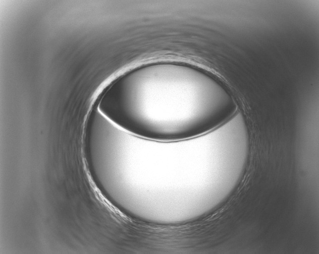 X0000086261518200703291048