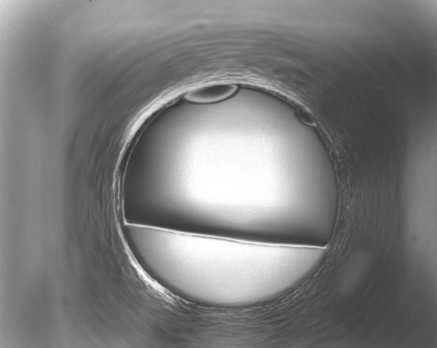 X0000086261519200703291048