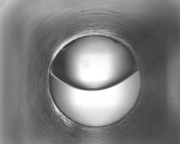 X0000086261524200703291049