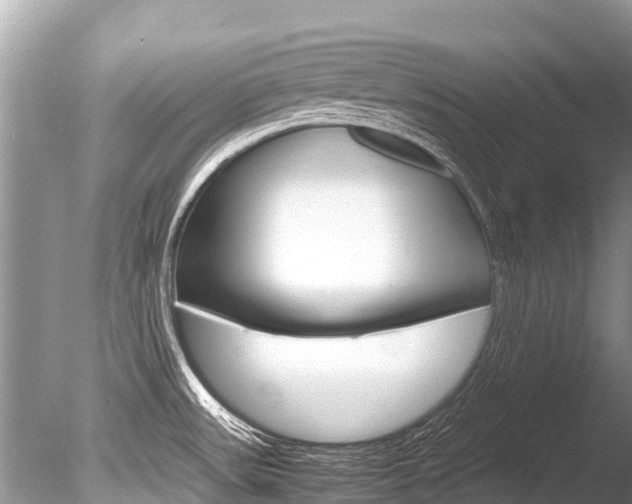 X0000086261531200703291049
