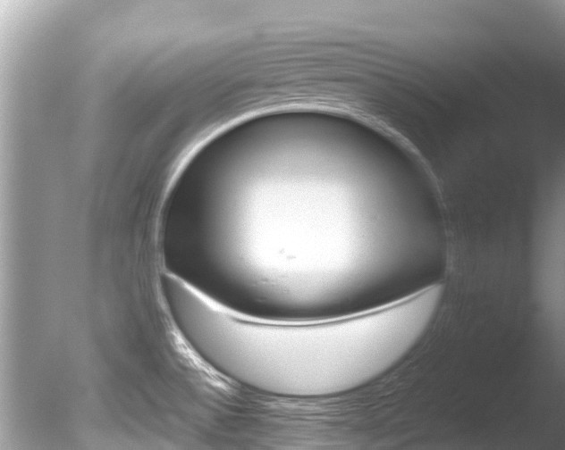 X0000086261532200703291049