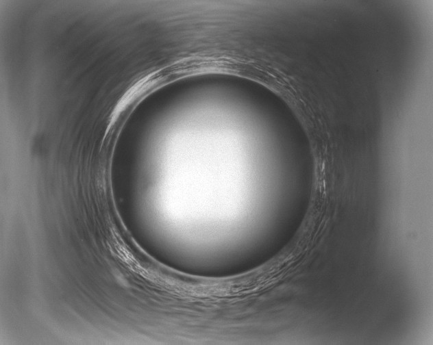 X0000086260004200703291446
