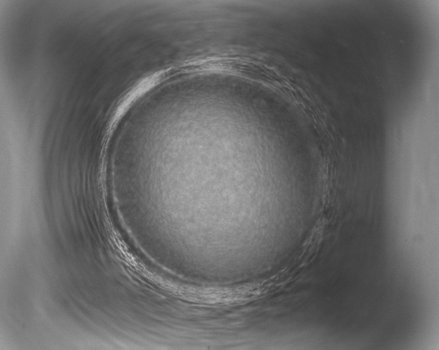 X0000086260006200703291445