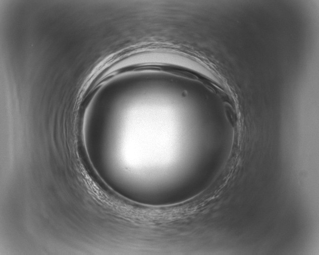 X0000086260007200703291445