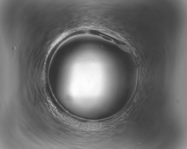 X0000086260008200703291445