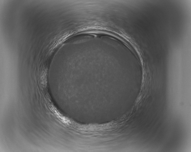 X0000086260009200703291445