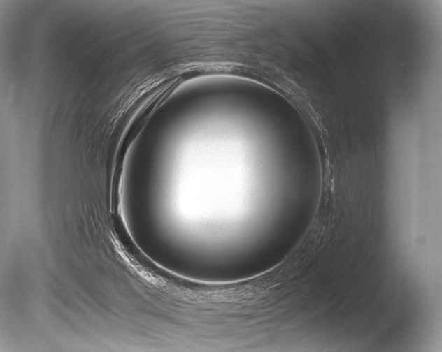 X0000086260013200703291445
