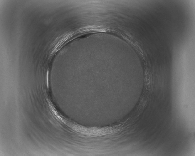X0000086260014200703291445