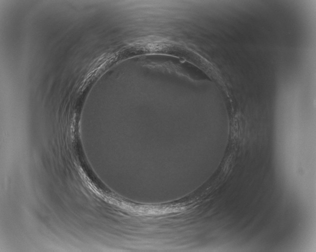 X0000086260018200703291445