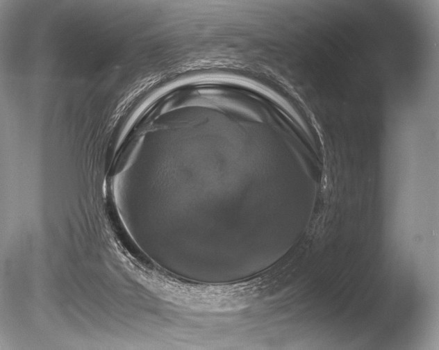 X0000086260019200703291445