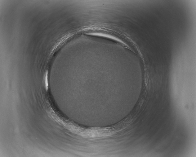 X0000086260020200703291445