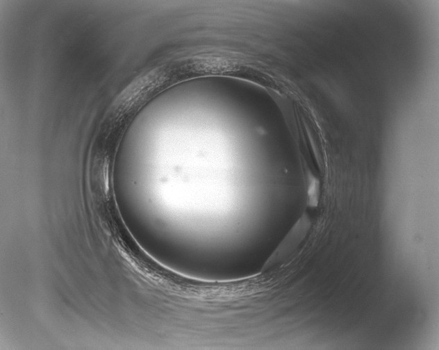 X0000086260021200703291445