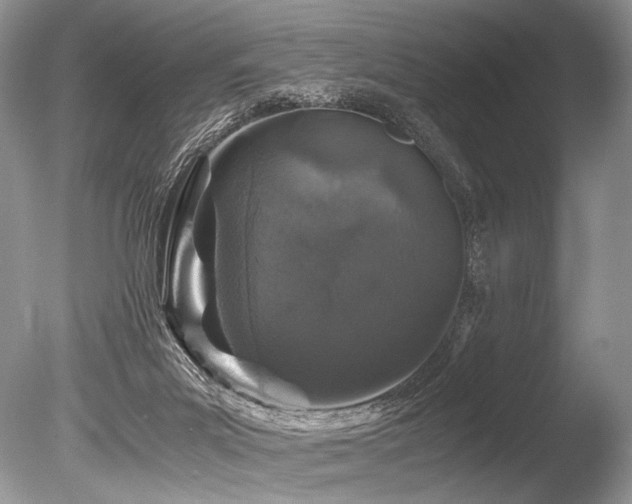 X0000086260023200703291445