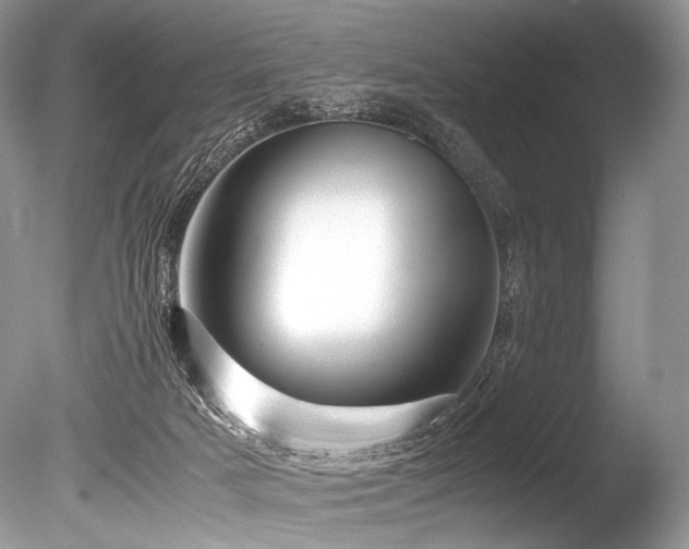 X0000086260025200703291445
