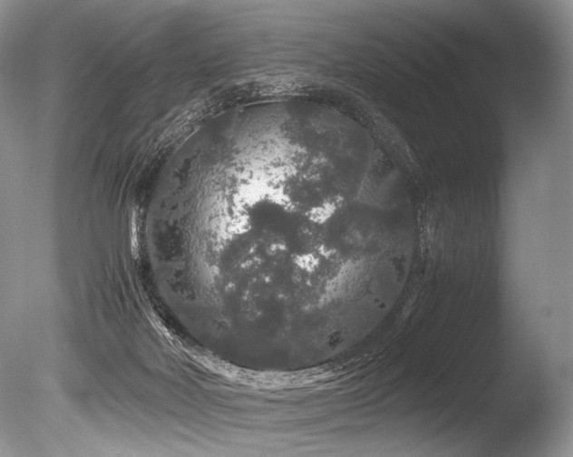 X0000086260026200703291445