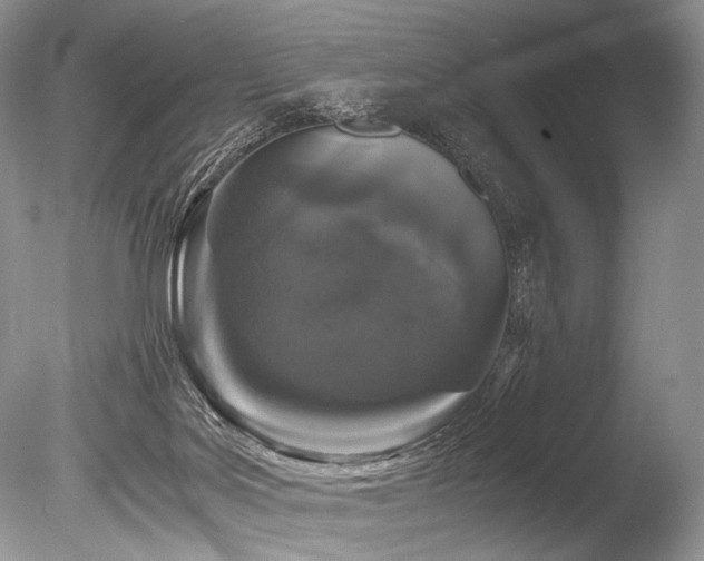 X0000086260027200703291445