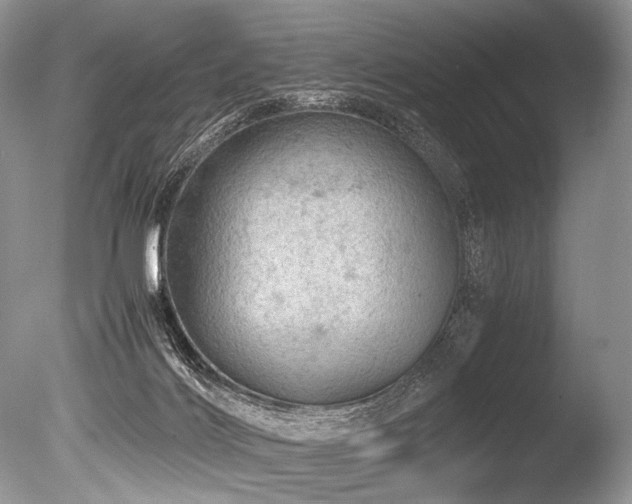 X0000086260028200703291445