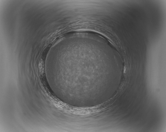 X0000086260029200703291445
