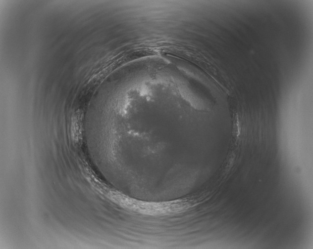 X0000086260030200703291445