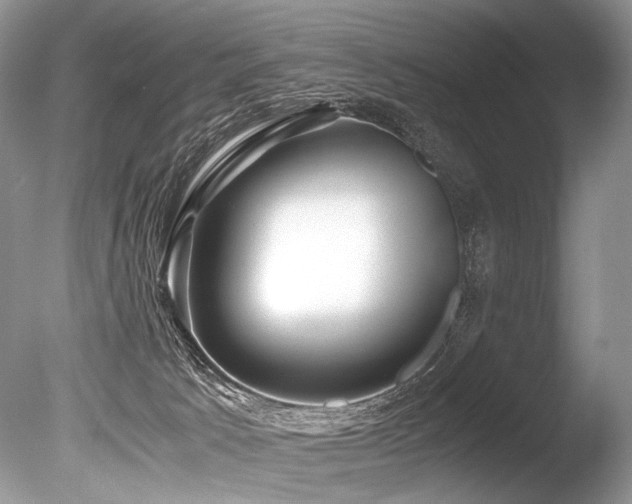 X0000086260033200703291445