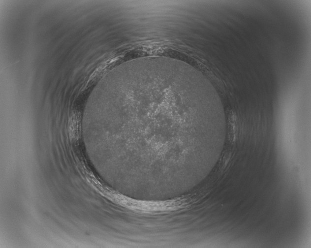 X0000086260034200703291445