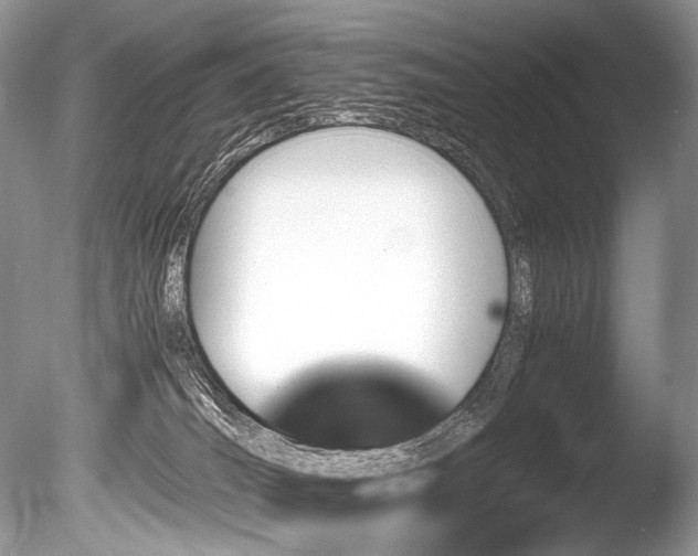 X0000086260036200703291445