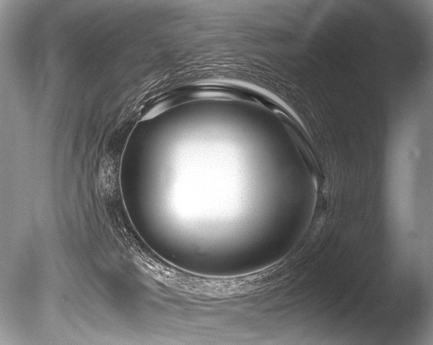 X0000086260037200703291445