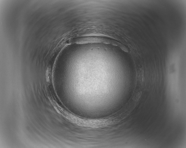 X0000086260038200703291445