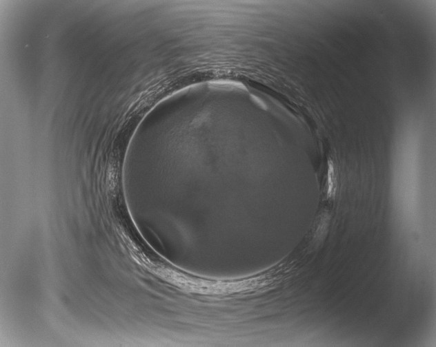X0000086260039200703291445