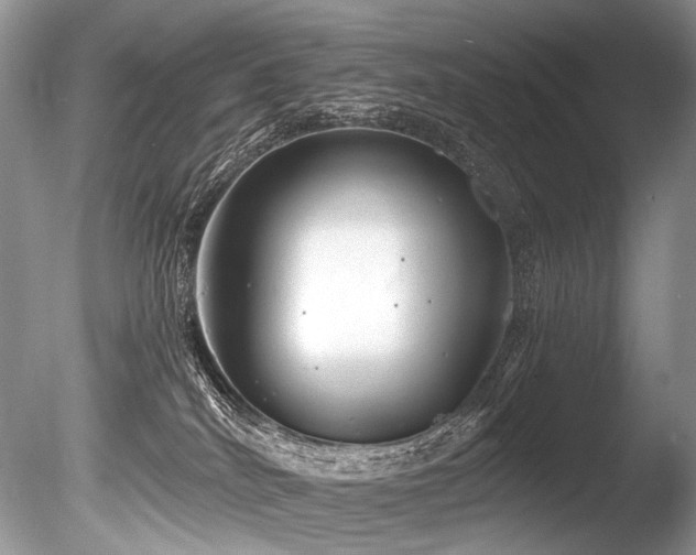 X0000086260040200703291445