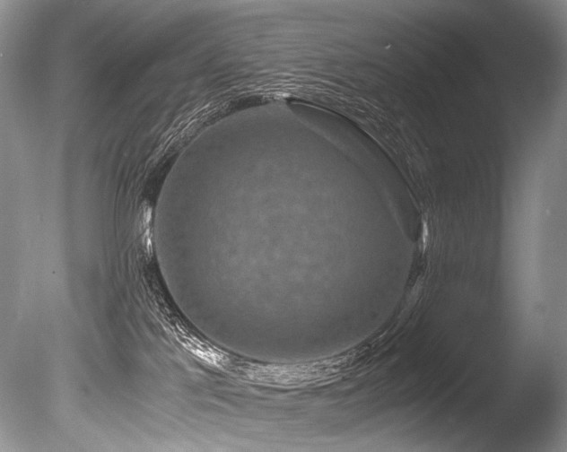 X0000086260041200703291445
