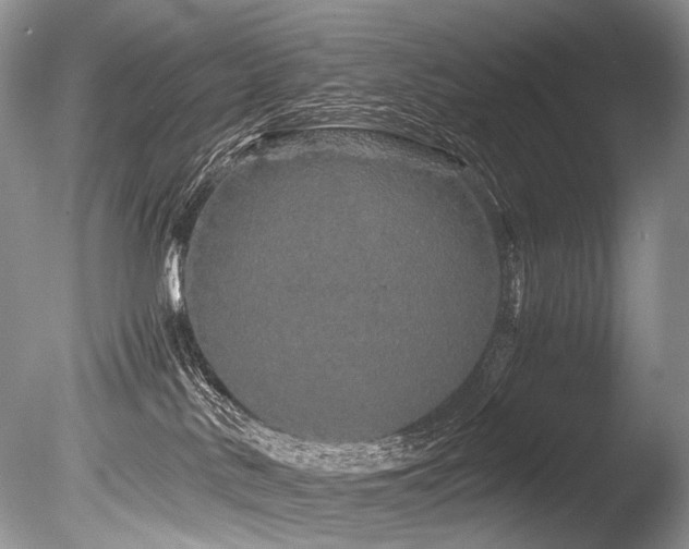 X0000086260042200703291445