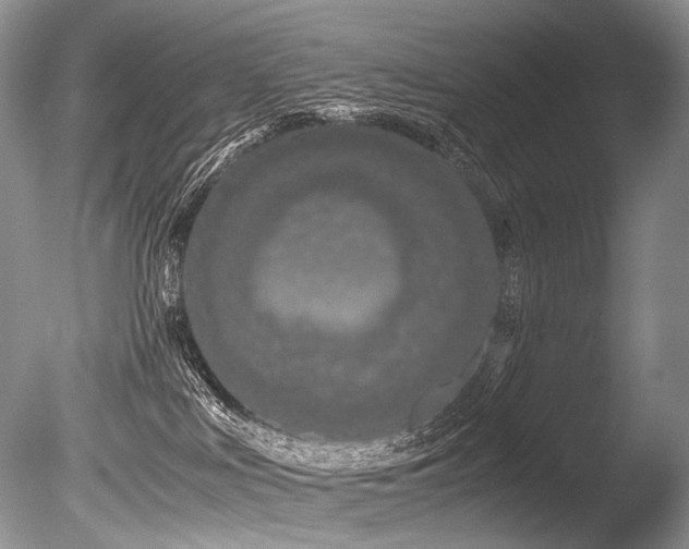 X0000086260043200703291445