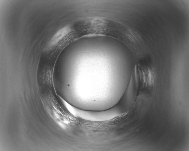 X0000086260045200703291445