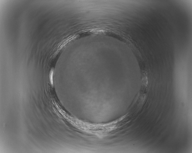 X0000086260047200703291445