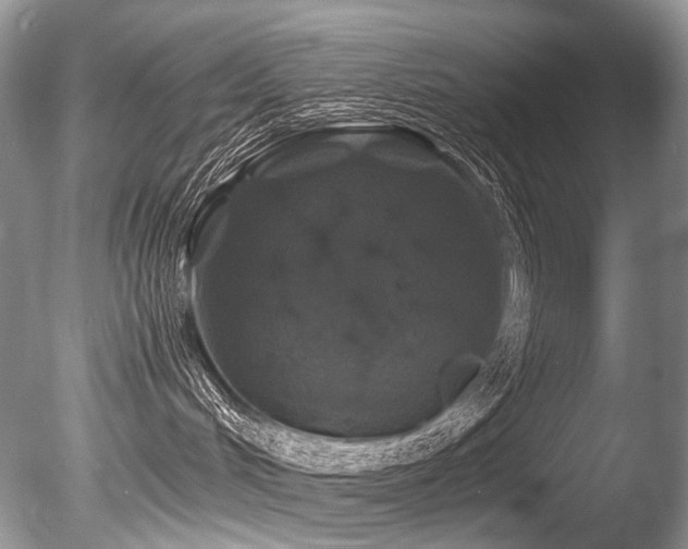 X0000086260048200703291445