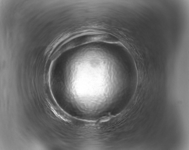 X0000086260050200703291444