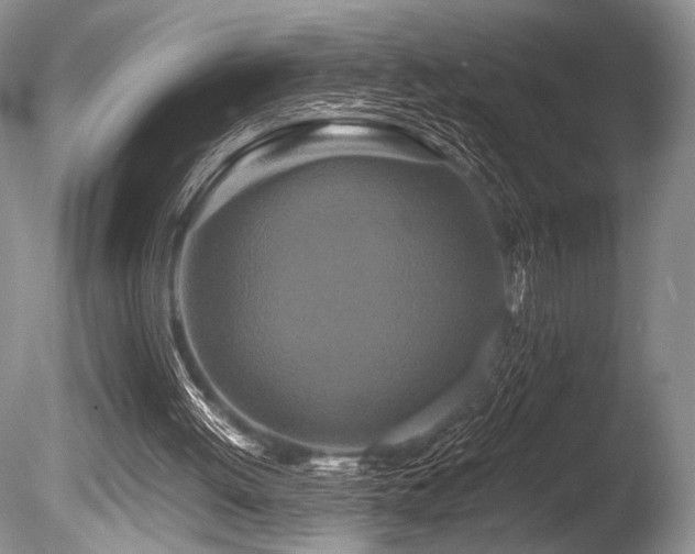 X0000086260052200703291444