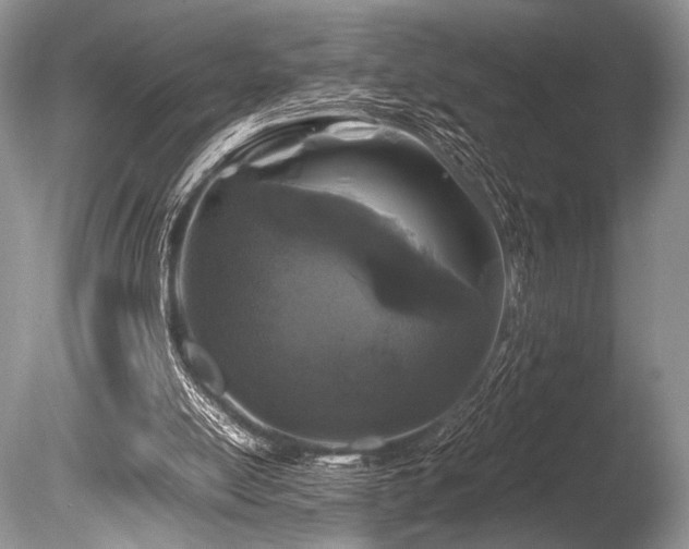 X0000086260054200703291444