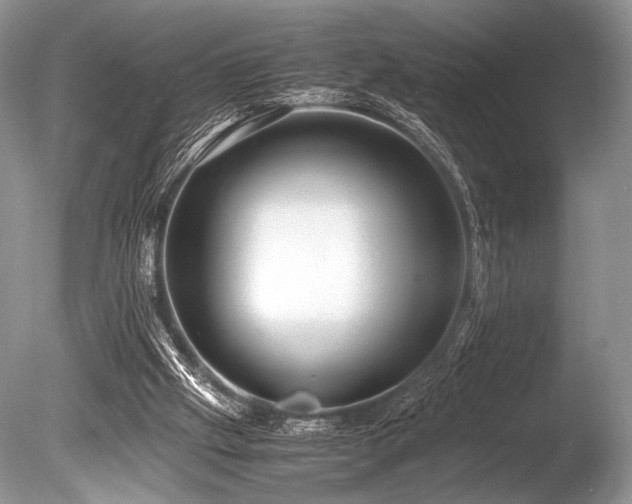 X0000086260057200703291444