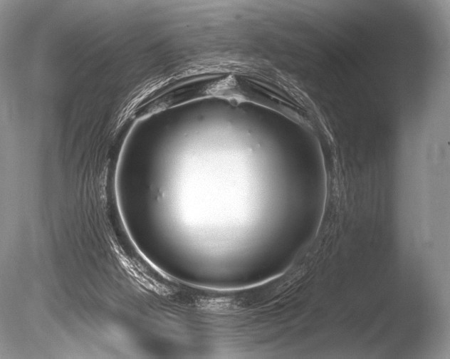 X0000086260058200703291444