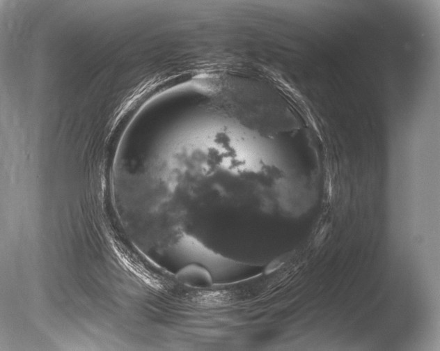 X0000086260059200703291444