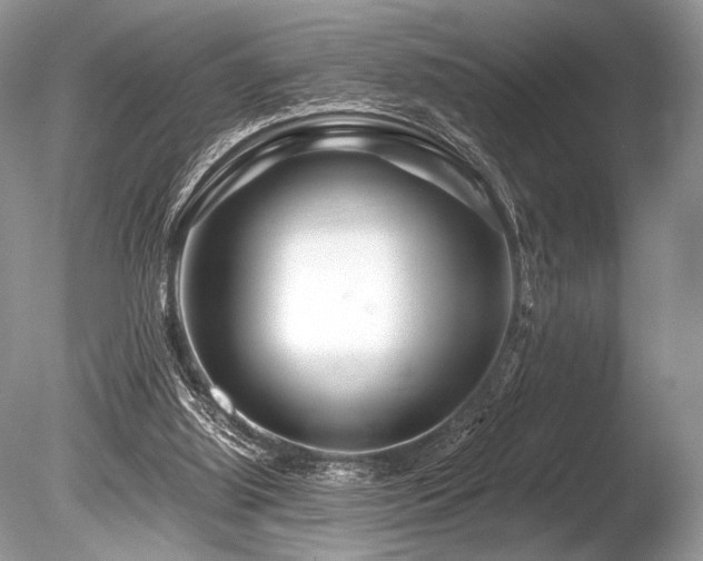 X0000086260060200703291444